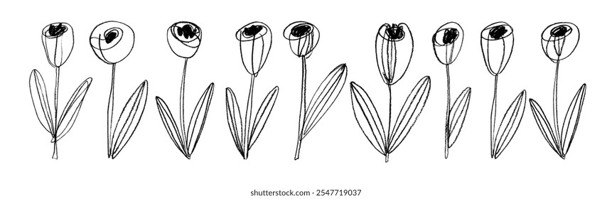 Crayon drawn cute tulip flowers collection. Hand drawn doodle kid's plant. Chalk drawn vector doodle elements. Cute funky tulip flowers with stems and leaves. Minimalism line art style.