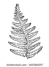 Crayon painting of ancient plants