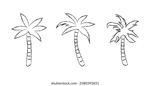 Crayon pencil palm or coconut trees hand drawn chalk vector element set