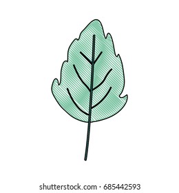 crayon silhouette of green light color of small lobed leaf plant vector illustration