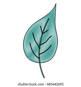 crayon silhouette of green light color of big aovada leaf plant vector illustration