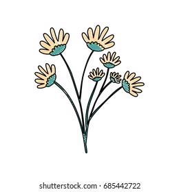 crayon silhouette of hand drawing yellow color daisy flower bouquet with several ramifications vector illustration