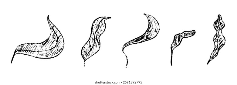 Crayon spring leaf kid draw. Charcoal leaf floral element. Crayon spring child painting. Vector illustration