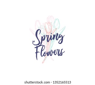 Crayon stile hand drawn tulips vertical greeting card template with text. Banner with spring flowers on white background. Top view flowers in pale tender colors.