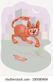 crazy cat .cartoon.