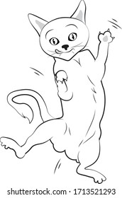  a crazy cat is  dancing