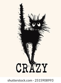 crazy cat for t-shirt slogan