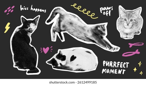 Crazy cats sticker pack, halftone collage black white zine cutouts, journal page template, typography funny text.