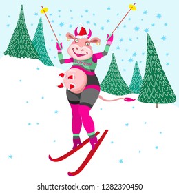 Crazy Cow champion. Humorous winter vacation holidays tee shirt print with blue snowflakes. Cartoon cow goes skiing slalom between fir trees from the mountain. Book cover, post card, party invitation