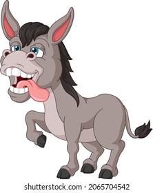 Crazy donkey cartoon on white background