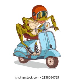 A Crazy Frog Racer, isolated vector illustration. Excited anthropomorphic frog with its mouth open, wearing a moto helmet riding a retro scooter. Humanized toad. An animal character with a human body