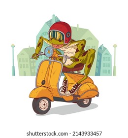 A Crazy Frog Racer, vector illustration. Excited anthropomorphic frog with its mouth open, wearing a moto helmet riding a retro scooter. Humanized toad. An animal character with a human body