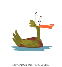 Crazy Male Mallard Duck Swimming, Funny Bird Cartoon Character Vector Illustration