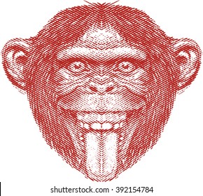 Crazy Monkey face, chimpanzee