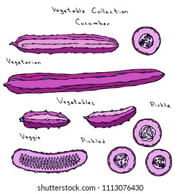 Crazy Pink Cucumber. Predatory Vegetables Series. Realistic Hand Drawn Illustration. Savoyar Doodle Style.