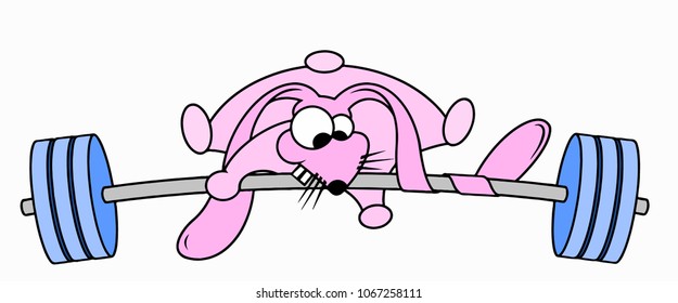 Crazy rabbit on training, exercises on weightlifting, it was not possible to lift weight, vector illustration.