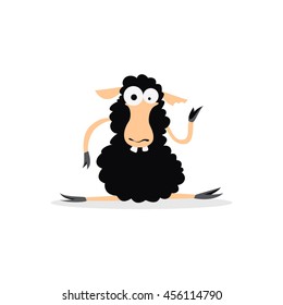Crazy sheep sitting