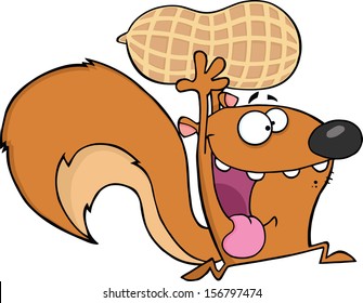 Crazy Squirrel Cartoon Mascot Character Running With Big Peanut