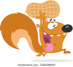 Crazy Squirrel Cartoon Mascot Character Running With Big Peanut. Vector Illustration Flat Design Isolated On Transparent Background