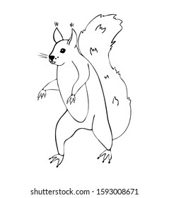 Crazy squirrel, in cartoon style, on a white background coloring book. Hand drawing coloring book for adults and children. Vector art illustration. One of a series of drawn paintings.