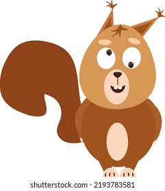 Crazy squirrel, illustration, vector on a white background.