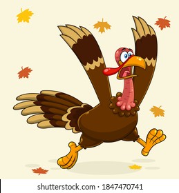 Crazy Turkey Cartoon Character Running. Vector Illustration Greeting Card 