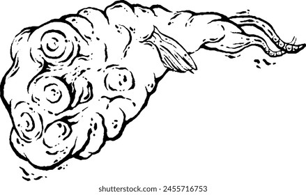 Crazy Weird Fish Monster, Black and white pattern, creative doodles, Weirdcore art. Vector illustration