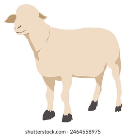 a cream colored hornless sheep with no face