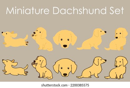 Cream colored Miniature Dachshund illustrations set