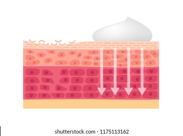 cream , foam and lotion cure dry skin vector