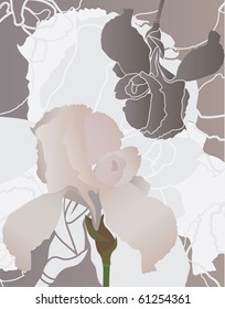 Cream iris and iris stencil background