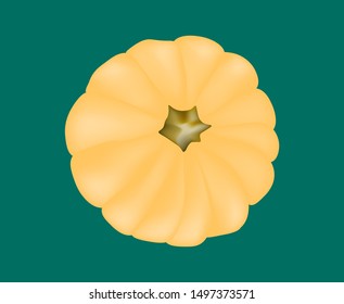 cream light orange ribbed pumpkin top view on a dark emerald background