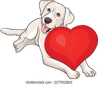
Creamy dog lying waiting, with red heart on the paws, vector illustration cartoon dog, labrador, tosa inu, golden retriever, valentines day,