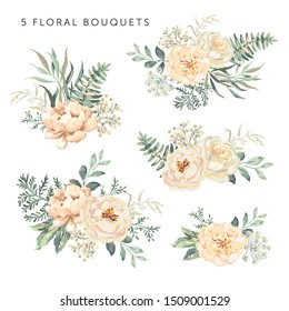 Creamy roses, peonies with green leaves bouquets, white background. Set of the floral arrangements. Vector illustration. Romantic garden flowers. Wedding design clip art