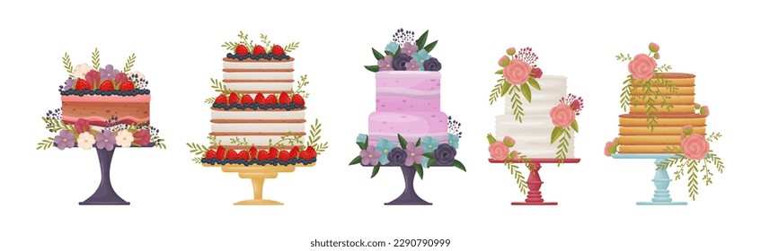 Creamy Tier Cake Decorated with Flowers and Berries Standing on Pedestal Cake Plate Vector Set