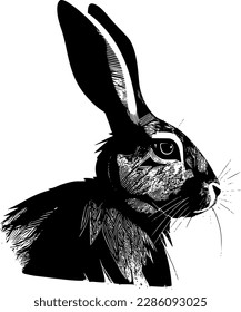 Create an attractive brand image with playful rabbit and hare logos in vector format on Shutterstock. Choose from a variety of styles and moods to find the perfect fit for your business.