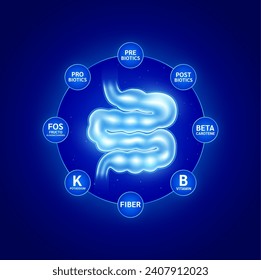 Create balance for the small intestines too probiotic prebiotic postbiotics and fiber beta carotene. Protect build immunity for the body. Healthy human skeleton anatomy. Medical health care. Vector.