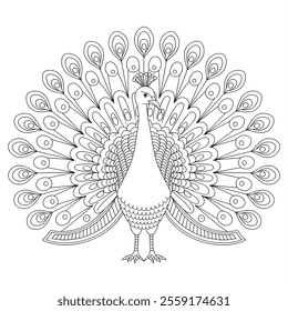 Create a detailed vector-style illustration of a peacock with its feathers spread wide in an elegant, 