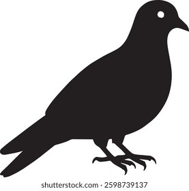 Create a Dove vector silhouette with white background