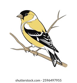 create a goldfinch hummingbird  vector style with white backgru