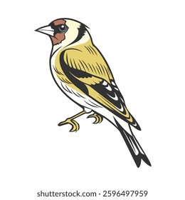 create a goldfinch hummingbird  vector style with white backgru