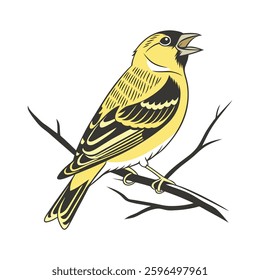 create a goldfinch hummingbird  vector style with white backgru