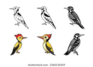 create an image of a yellow bellied sapsucker vector set