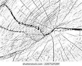 Create stunning designs with this raw and natural vector grunge texture of a spruce cross-section on a monochrome sawn log background with cracks. Perfect as an overlay or stencil for unique designs