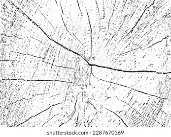 Create stunning designs with this raw and natural vector grunge texture of a birch cross-section on a monochrome sawn log background with cracks. Perfect as an overlay or stencil for unique designs