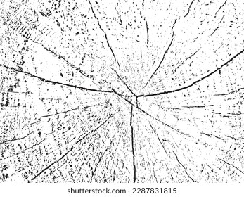 Create stunning designs with this raw and natural vector grunge texture of a chestnut tree cross-section on a monochrome sawn log background with cracks. Perfect as an overlay or stencil for unique de