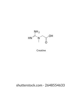 Estrutura esquelética da creatina. Ilustração esquemática do composto derivado de aminoácidos. Diagrama simples, fórmula química.