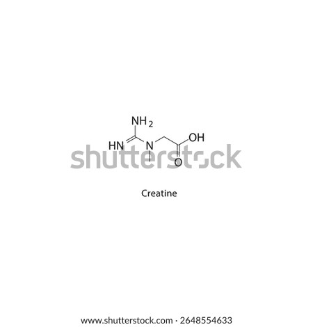 Creatine skeletal structure. Amino acid derivative compound schematic illustration. Simple diagram, chemical formula.