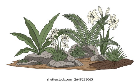 Creating a Lush Miniature Garden Oasis with Rocks and Native Plants for a Serene Outdoor Escape