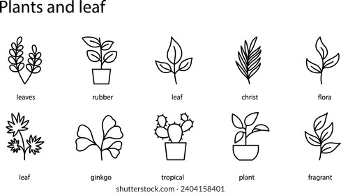 Creating a set of plant and leaf icons involves designing simple and visually distinctive symbols that represent various aspects of plant life. 